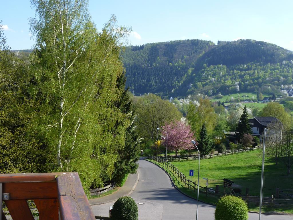 Pension Haus Diefenbach ハイムバッハ エクステリア 写真